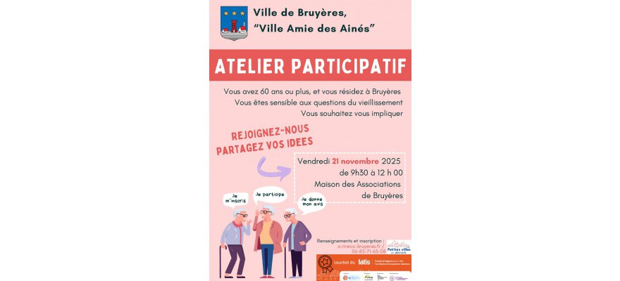 concertation  ville amie des ainés