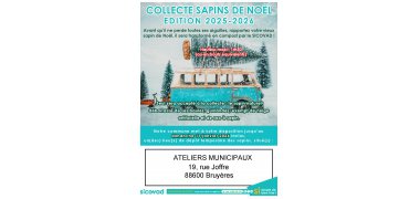 Collecte des sapins de noël