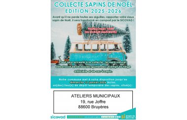 Collecte des sapins de noël