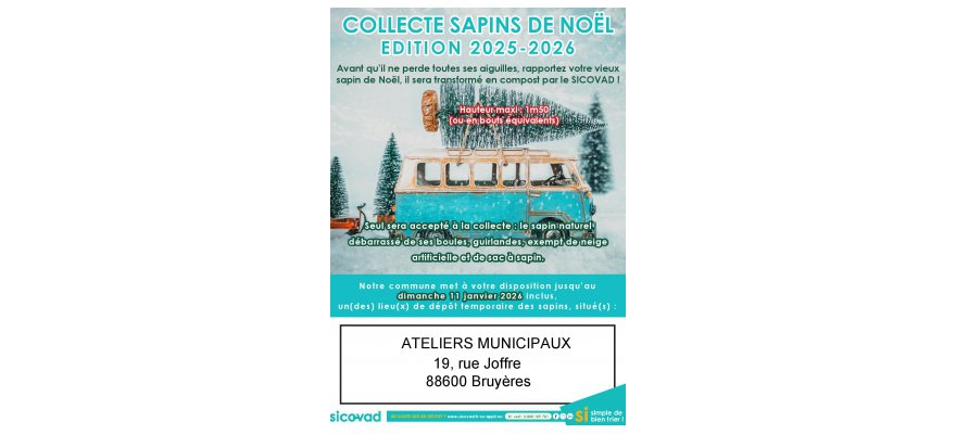 Collecte des sapins de noël