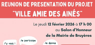 Réunion de présentation : Ville amie des ainés