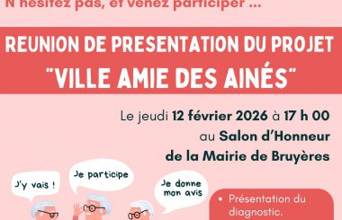 Réunion de présentation : Ville amie des ainés