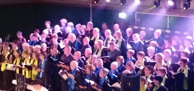 🎶 Vie culturelle  🎶