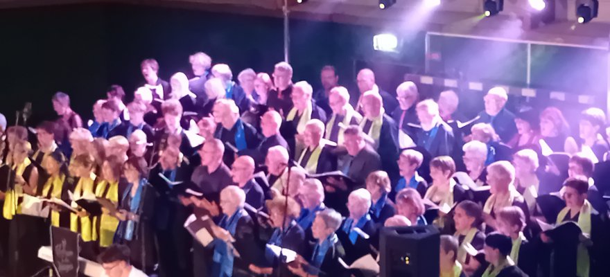 🎶 Vie culturelle  🎶