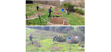 Compte rendu du jardin partagé de Bruyères 2025 🌱🥕