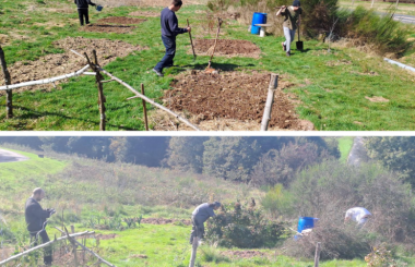 Compte rendu du jardin partagé de Bruyères 2025 🌱🥕