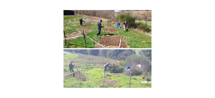Compte rendu du jardin partagé de Bruyères 2025 🌱🥕