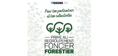 Dispositif d’aide au regroupement foncier forestier.