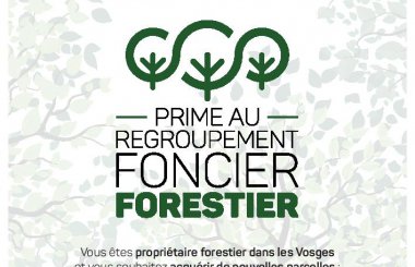 Dispositif d’aide au regroupement foncier forestier.
