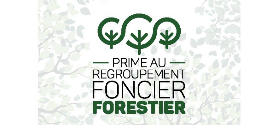 Dispositif d’aide au regroupement foncier forestier.