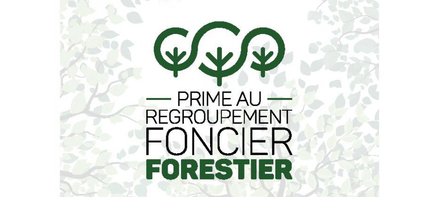 Dispositif d’aide au regroupement foncier forestier.
