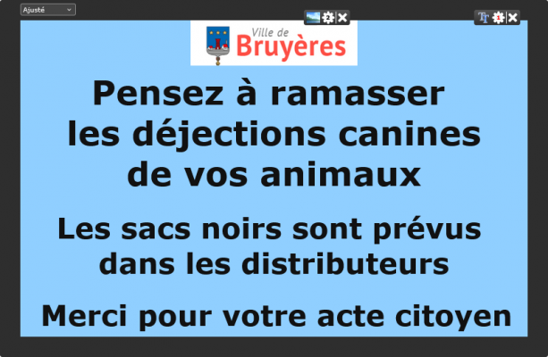 Déjéctions canines