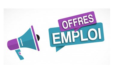 2 offres d'emploi : animateur-trice musée et ALSH
