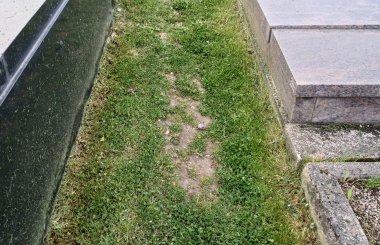 Cimetière