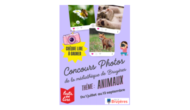 Concours photo de l'été