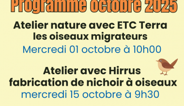 Progamme médiathèque octobre 2025
