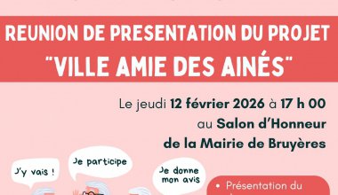 Réunion de présentation : Ville amie des ainés