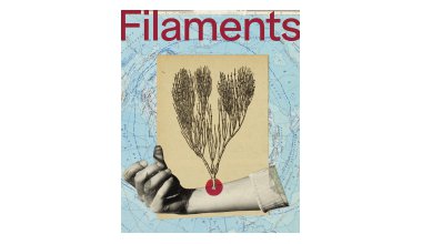 FILAMENTS : les souvenirs des habitants du territoire exposés au musée Henri-Mathieu