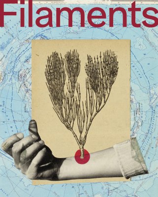 FILAMENTS : les souvenirs des habitants du territoire exposés au musée Henri-Mathieu